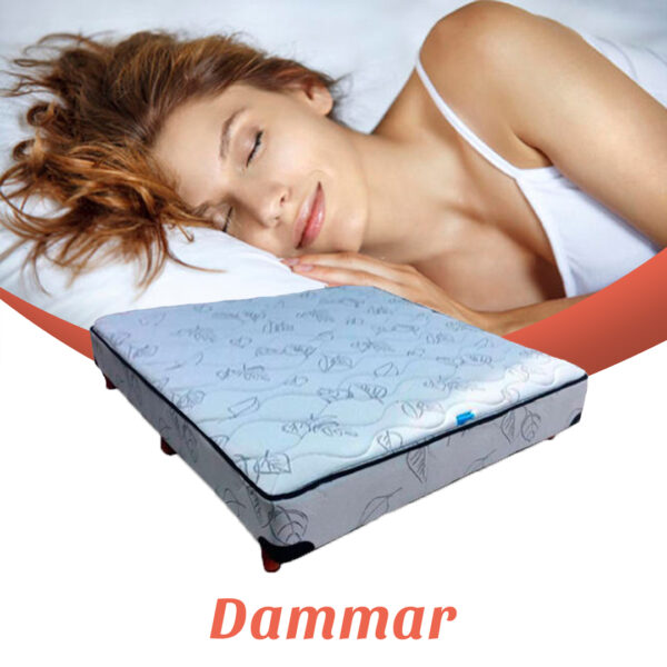 Box Sommier Dammar