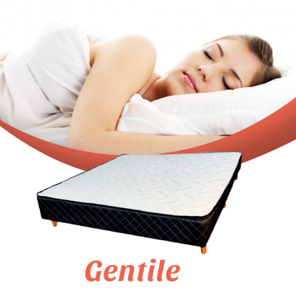 Box Sommier Gentile