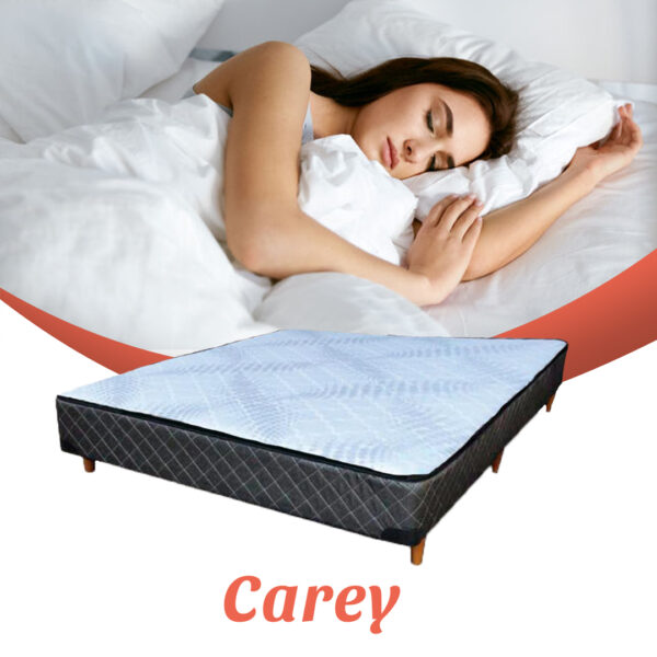 Box Sommier Carey